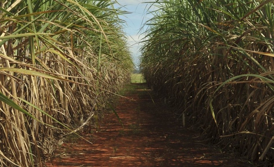 Eletrificação total é tendência para 2026 no agronegócio