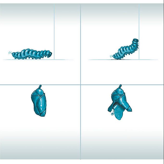 A reforma tributária vai mudar os negócios