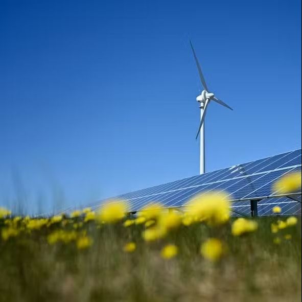 Cortes obrigatórios de geração para evitar apagões levam empresas a suspender projetos de energia solar e eólica
