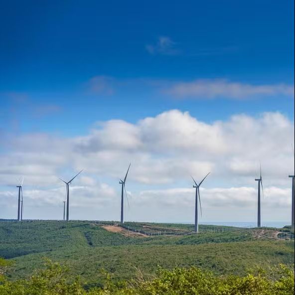 Leilão de baterias cria oportunidade de atrair novos investimentos ao país